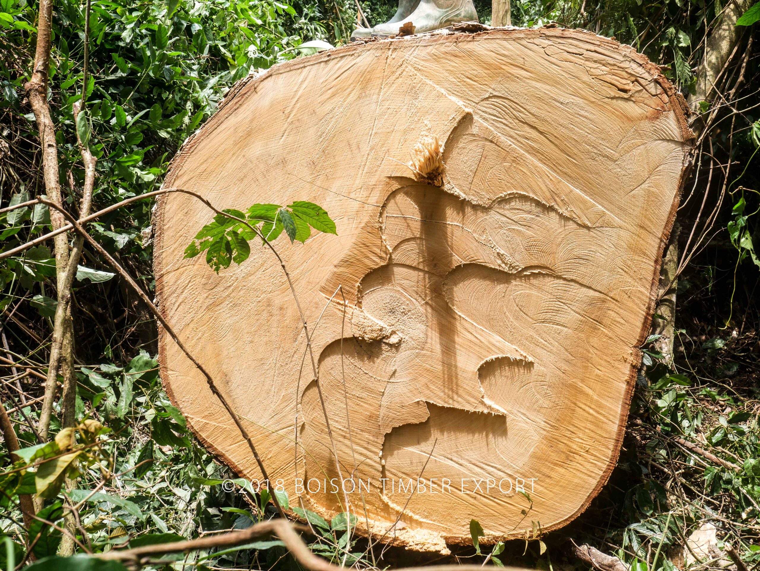 Fully Grown Lumber