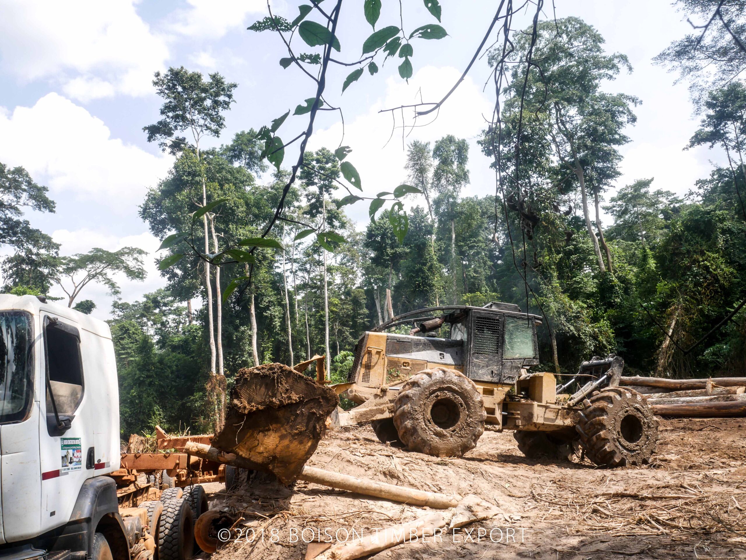 Loading Timber